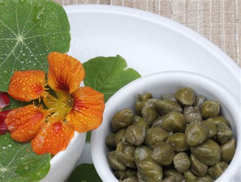 nasturtium-capers-made-from-plant-seeds image