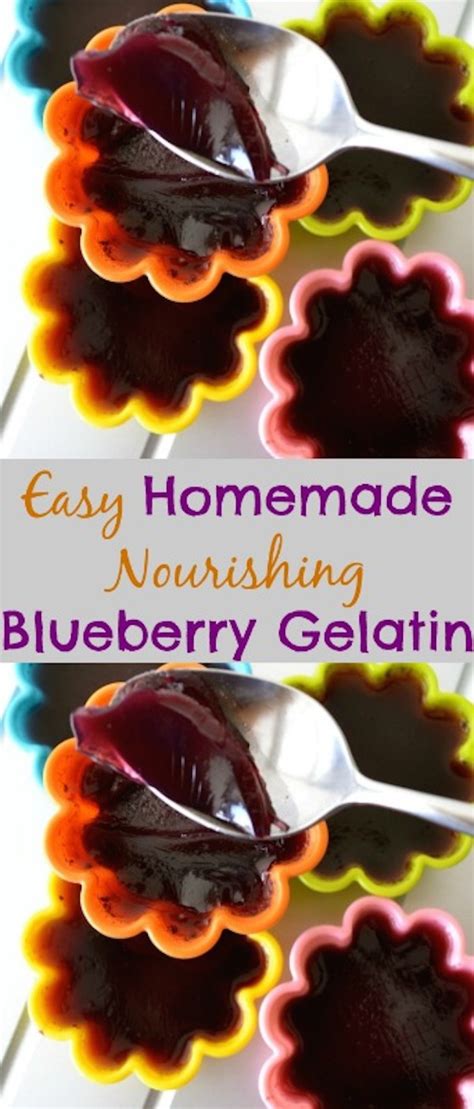 easy-homemade-nourishing-blueberry-gelatin image