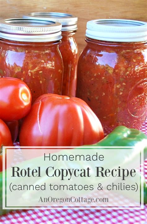 canned-tomatoes-chilies-rotel-copycat-recipe-an image