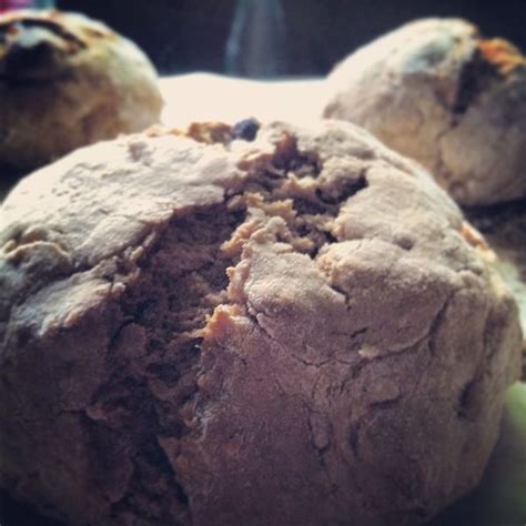 spiced-raisin-bread-with-a-hint-of-maple-terra image