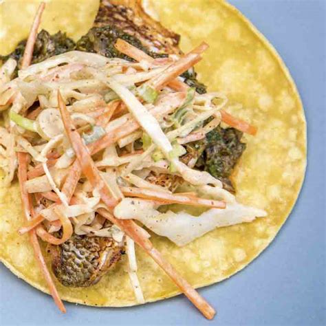 blackened-fish-tacos-with-chili-spiced-slaw-and-charred image