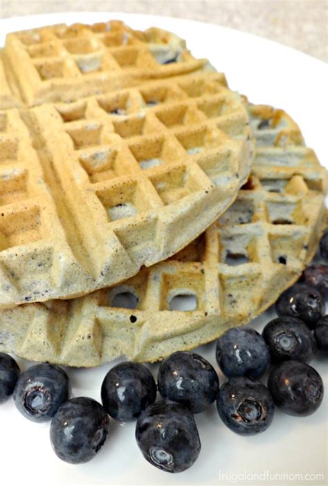 easy-blueberry-waffles-recipe-fun-learning-life image