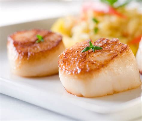 scallops-with-quinoa-in-garlic-lemon-and-butter-sauce image