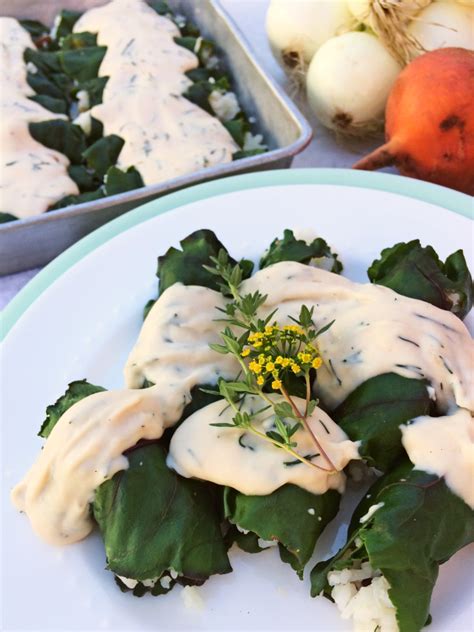 beet-leaf-rolls-with-creamy-dill-sauce-shifting-roots image