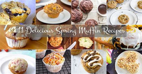11-delicious-spring-muffin-recipes-renee-nicoles-kitchen image