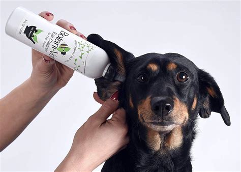 the-5-best-dog-ear-cleaners-in-2022-petlisted image