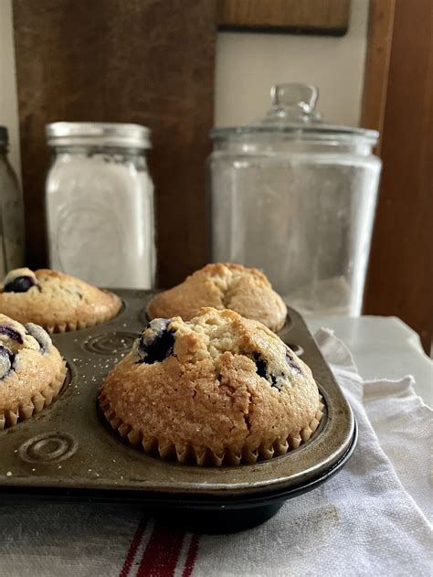 passover-blueberry-muffin-recipe-in-jennies-kitchen image