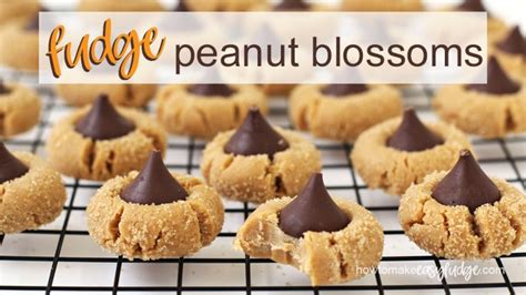 fudge-peanut-blossoms-how-to-make-easy-fudge-video image