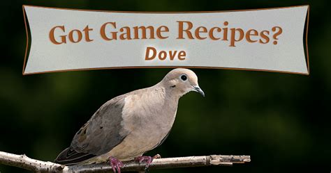 5-dove-recipes-youll-love-georgia-wildlife-blog image