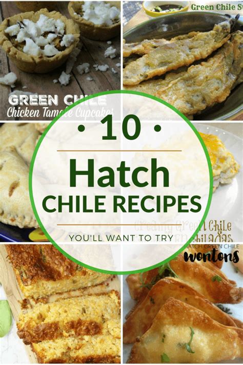 10-hatch-green-chile-recipes-the-centsable-shoppin image
