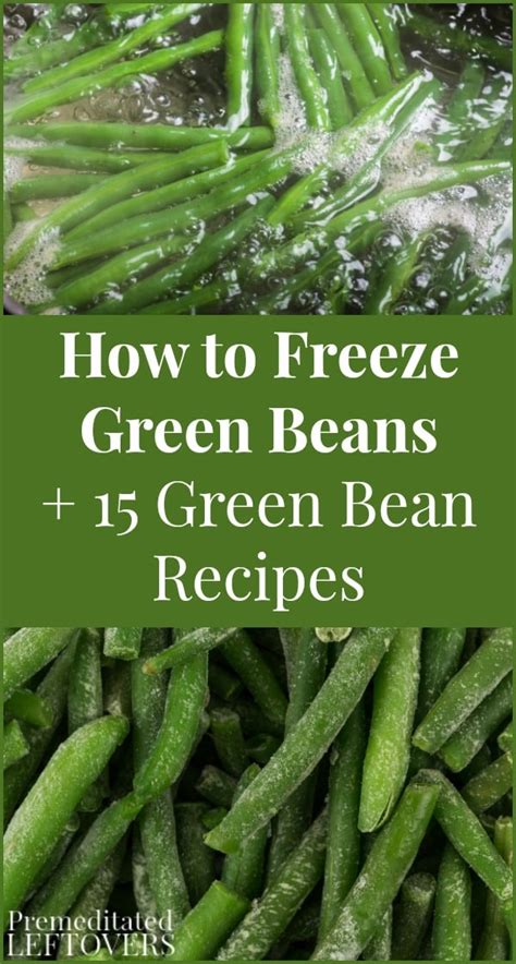 15-green-bean-recipes-how-to-freeze-green-beans image