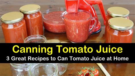 3-great-recipes-to-can-tomato-juice-at-home-tips image