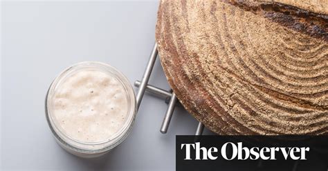the-science-of-making-sourdough-bread image