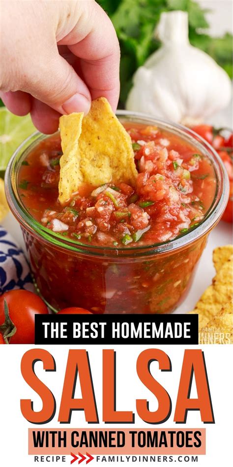 salsa-recipe-with-canned-tomatoes-family-dinners image