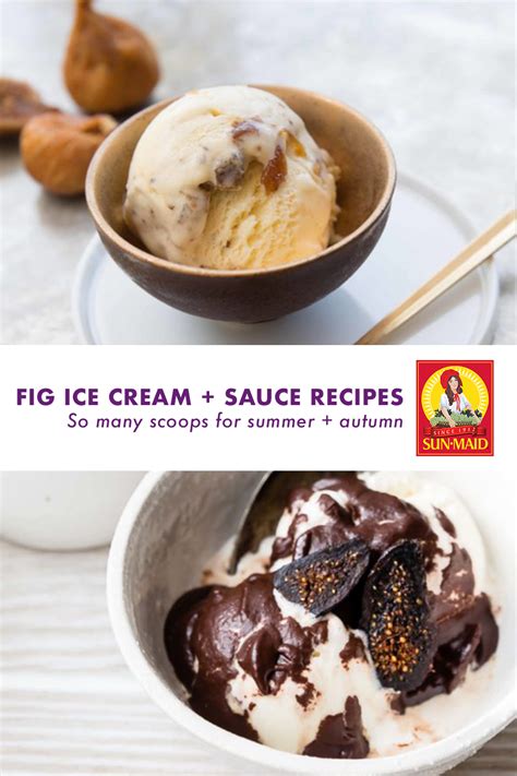 get-the-scoop-on-fig-ice-cream-valley-fig-growers image