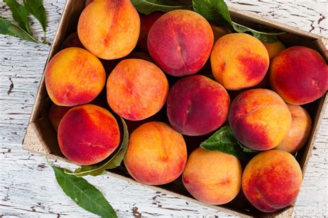 peach-vs-nectarine-whats-the-difference-myrecipes image