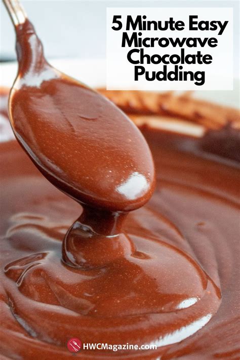 easy-microwave-chocolate-pudding-healthy-world-cuisine image