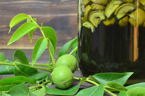 how-to-make-your-own-italian-style-walnut-liqueur-the image