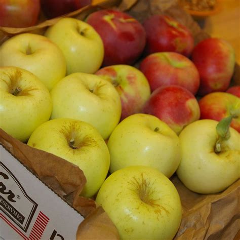 best-knobby-apple-cake-recipe-how-to-make-nobby image