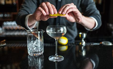 martini-cocktail-recipe-punch image