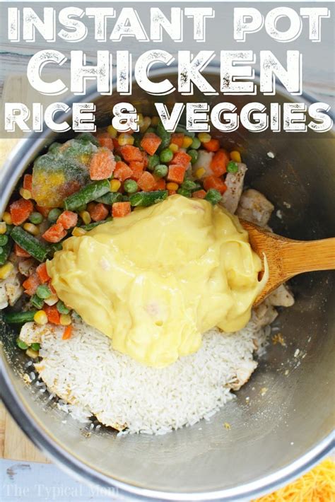 instant-pot-pressure-cooker-chicken-and-rice-the image