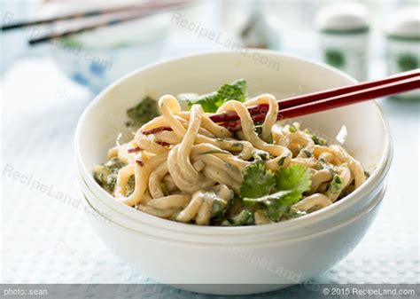 cold-and-spicy-udon-noodles-recipe-recipelandcom image