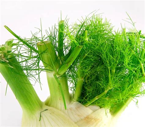 5-ways-to-use-fennel-stalks-fronds-kitchn image