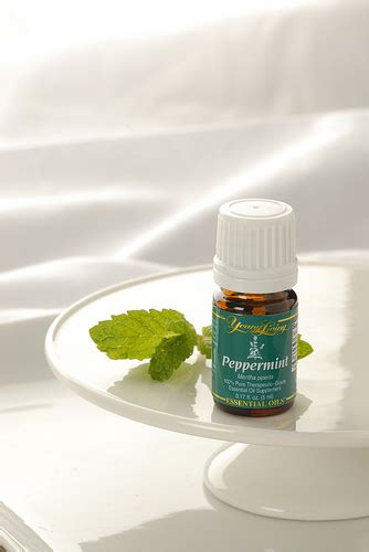 20-pepperpint-oil-uses-young-living-blog image