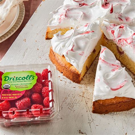 best-raspberry-cake-recipe-how-to-make-raspberry image