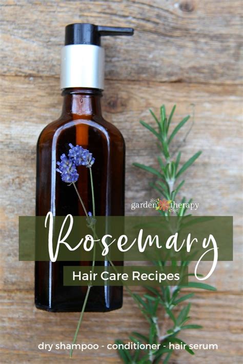 rosemary-hair-care-recipes-homemade-dry-shampoo image