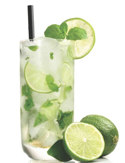 the-spicy-olives-mock-mojito image