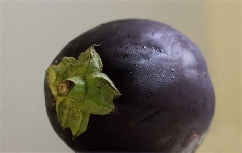 at-the-immigrants-table-creamy-eggplant-tomato-stacks image