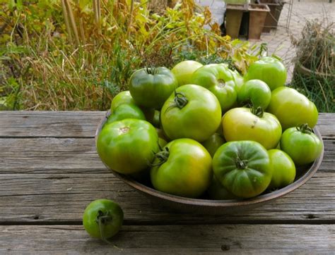 the-best-ever-fried-green-tomatoes-a-canadian-foodie image