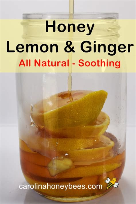 honey-lemon-ginger-tea-carolina-honeybees image