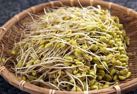 soybean-sprout-side-dish-kongnamul-muchim-recipe-by image