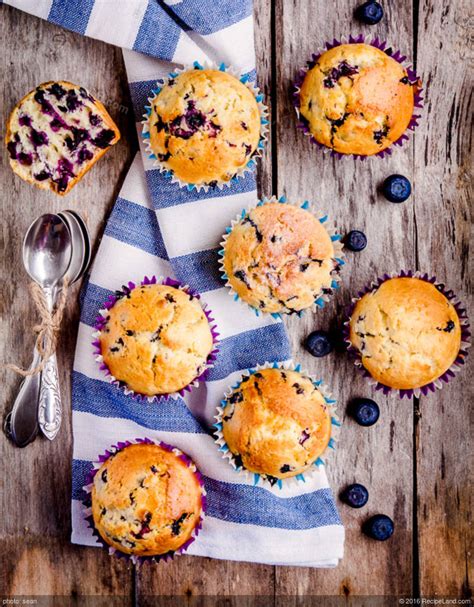 blueberry-hill-muffins image