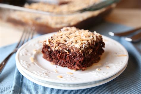 lazy-day-chocolate-coconut-cake-real-life-dinner image