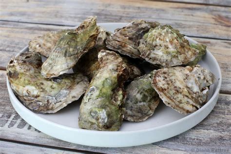 sauted-oysters-with-wine-and-herbs-recipe-the image