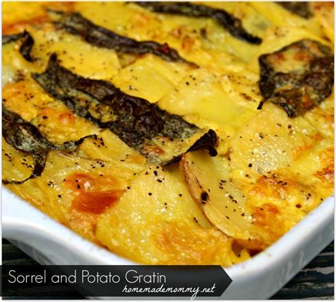 sorrel-and-potato-gratin-homemade-mommy image