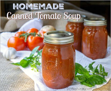 canned-tomato-soup-recipe-a-delicious-soup-made-to image