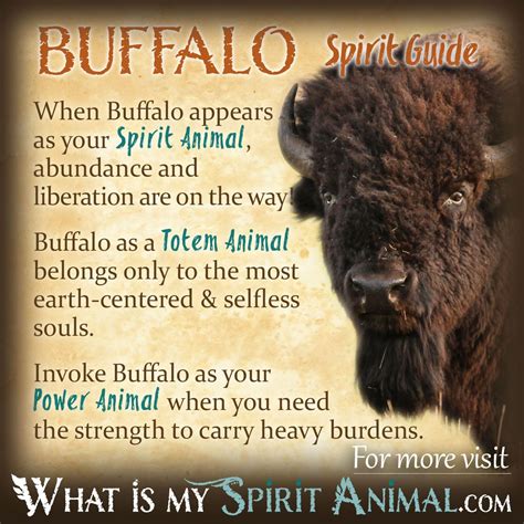 buffalo-symbolism-meaning-spirit-totem-power image