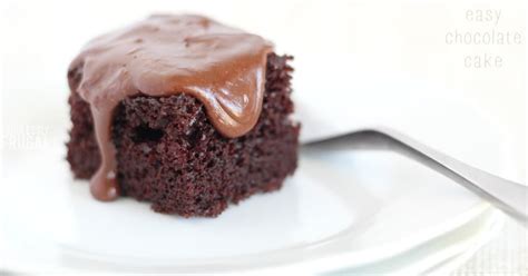 easy-chocolate-cake-recipe-from-scratch-so-moist image