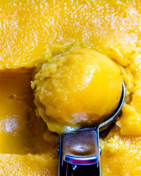 4-easy-sorbet-recipes-that-you-can-make-without-an image