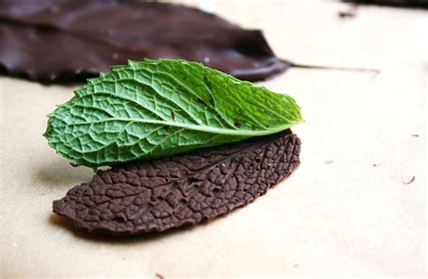 chocolate-mint-leaves-laws-of-baking image