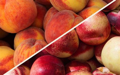 nectarine-vs-peach-whats-the-difference-taste-of-home image