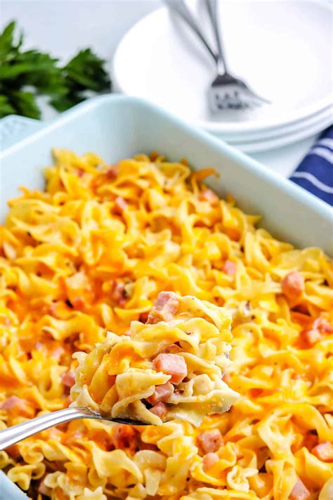 ham-and-noodle-casserole-easy-budget image