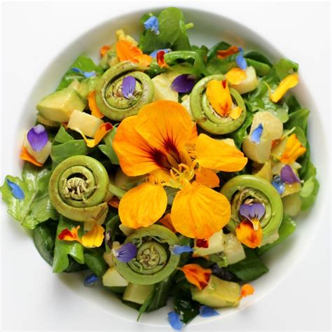 fiddlehead-flower-month-of-may-salad-taste-with image
