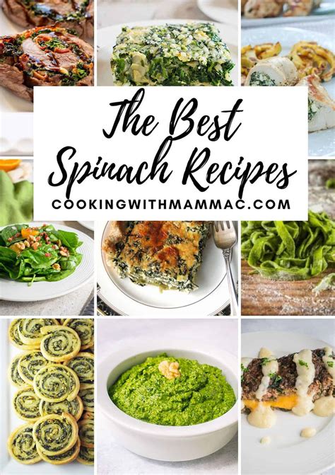 50-best-spinach-recipes-for-dinner-cooking-with image