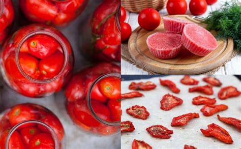 26-ways-to-preserve-a-bounty-of-tomatoes image