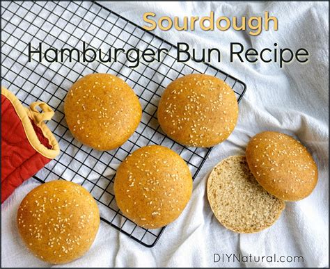 recipe-for-homemade-sourdough-hamburger-buns image